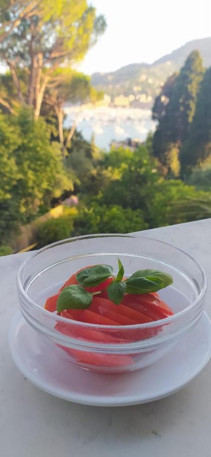 B&B Oasi Regina Pacis Santa Margherita Ligure Exteriör bild
